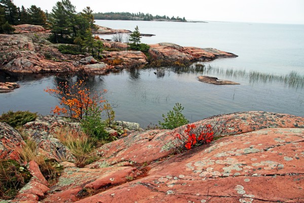 Collins Inlet III by Deb Oppermann
